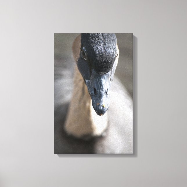 Impressão Em Tela Ganso (Frente)