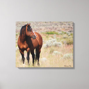 Impressão Em Tela Garanhão selvagem americano do mustang