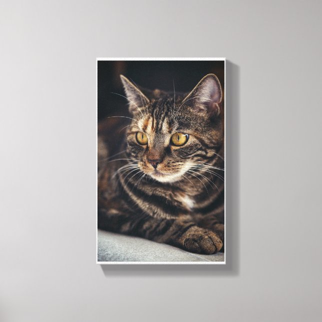 Impressão Em Tela Gatinho (Frente)