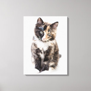 Impressão Em Tela Gatinho adorável da chita