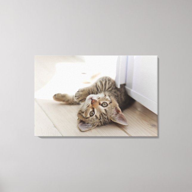 Impressão Em Tela Gatinho Bonito (Frente)