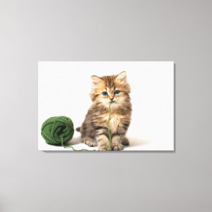 Impressão Em Tela Gatinho com fio verde