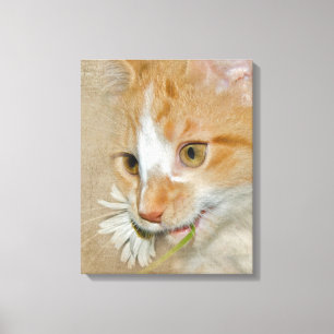 Impressão Em Tela Gatinho do gato malhado com margarida
