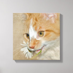Impressão Em Tela Gatinho do gato malhado com margarida