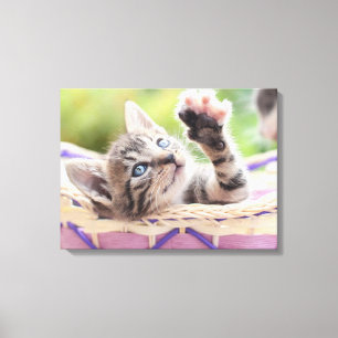 Impressão Em Tela Gatinho em uma cesta