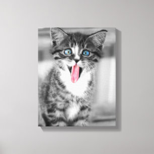 Impressão Em Tela Gatinho engraçado