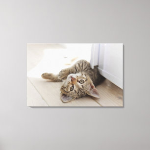 Impressão Em Tela Gatinho pequeno bonito