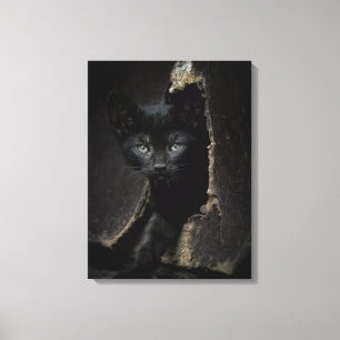Impressão Em Tela Gatinho preto pequeno
