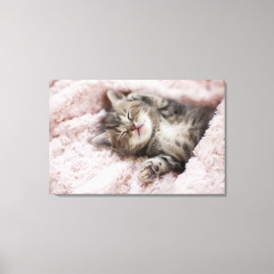 Impressão Em Tela Gatinho que dorme na toalha