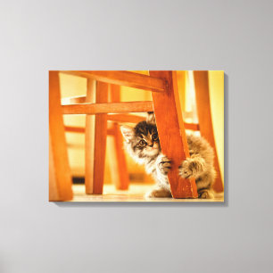 Impressão Em Tela Gatinho sob a cadeira