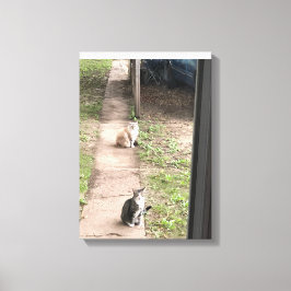 Impressão Em Tela Gato