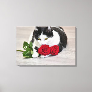 Impressão Em Tela Gato bonito com a rosa vermelha