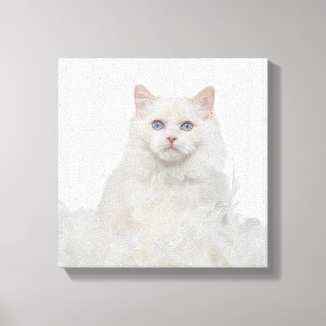 Impressão Em Tela Gato Branco com Penas (Frente)