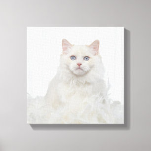 Impressão Em Tela Gato branco com penas