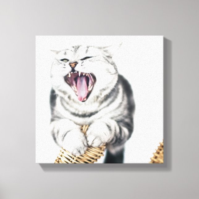 Impressão Em Tela Gato cinza sobre fundo branco (Frente)