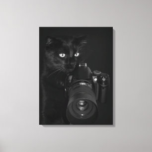 Impressão Em Tela Gato com a câmera