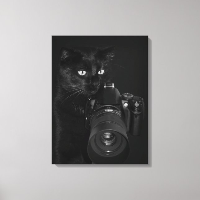Impressão Em Tela Gato com a câmera (Frente)