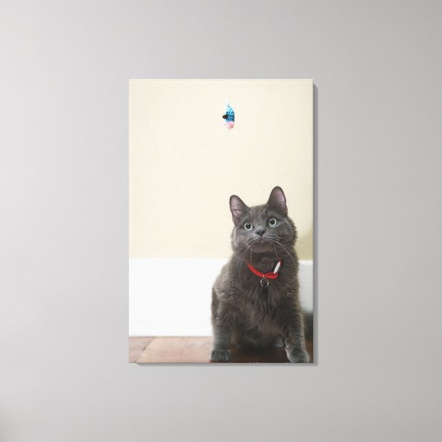 Impressão Em Tela Gato com brinquedo (Frente)