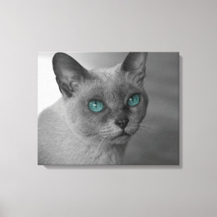 Impressão Em Tela Gato com olhos azuis