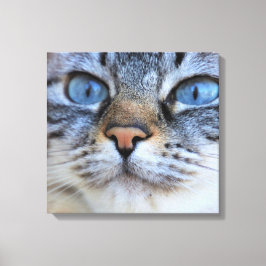 Impressão Em Tela Gato de cinza