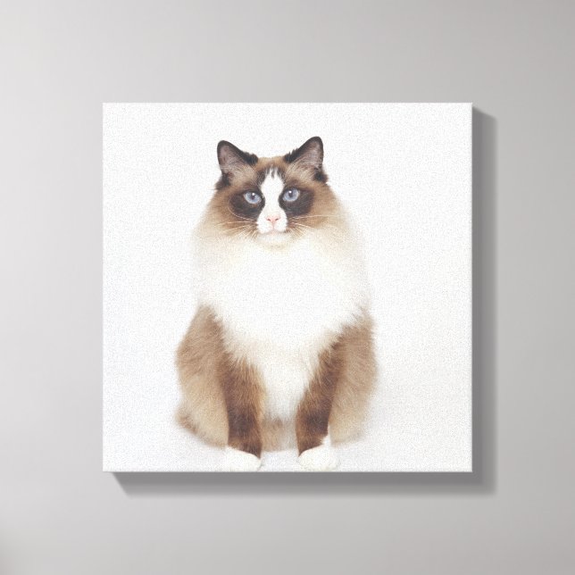 Impressão Em Tela Gato de Furto Grande (Frente)