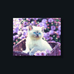Impressão Em Tela Gato De Gatinho Olhado Azul No Soquete Com Flores<br><div class="desc">Uma sobrecarga de beleza com este gatinho de olhos azuis sentado num cesto mais vime entre flores lilás.</div>