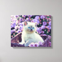 Gato De Gatinho Olhado Azul No Soquete Com Flores