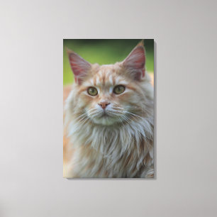 Impressão Em Tela Gato de racum principal