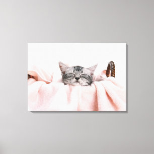Impressão Em Tela Gato de Shorthair do americano