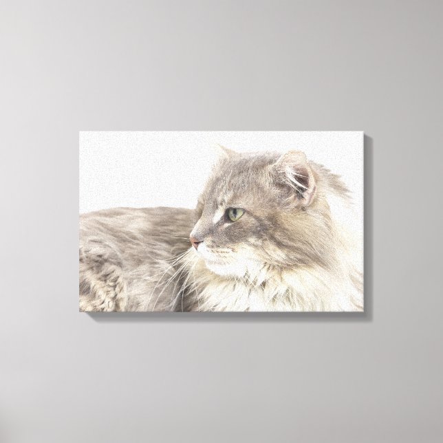 Impressão Em Tela Gato deitado (Frente)