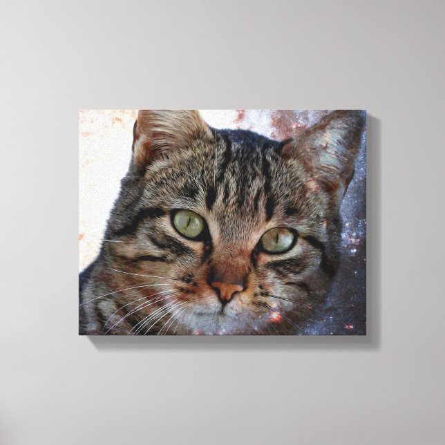 Impressão Em Tela Gato do Espaço (Frente)