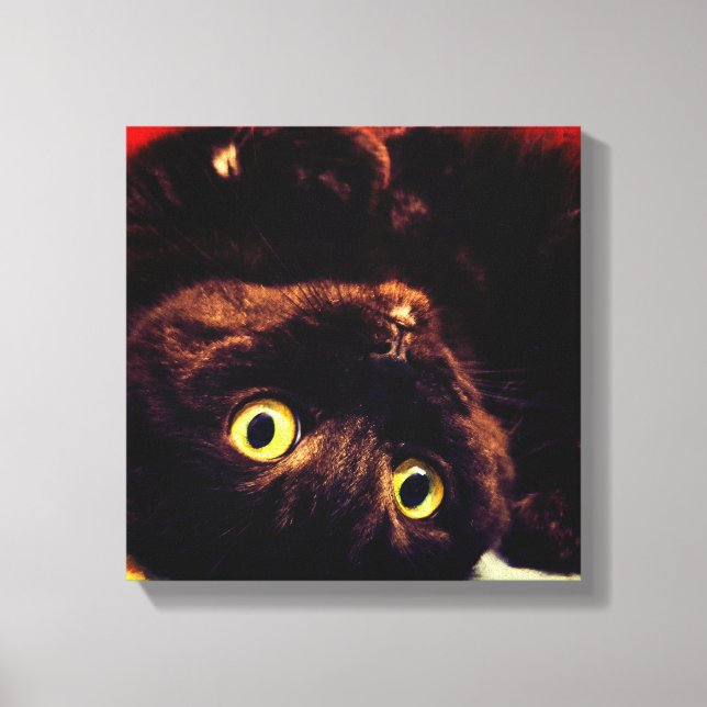 Impressão Em Tela Gato Gato Gato de Maçkkin com Dobro Escocês (Frente)