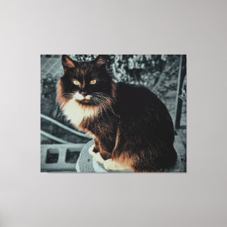 Impressão Em Tela Gato Majestoso e Felpudo em um Pedestal