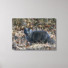 Impressão Em Tela Gato na floresta