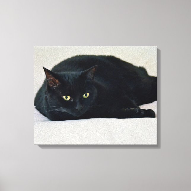 Impressão Em Tela Gato Negro (Frente)