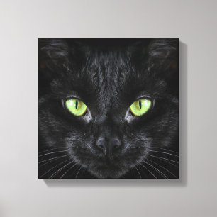 Impressão Em Tela Gato Negro com Olhos Verdes