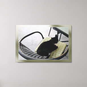 Impressão Em Tela Gato negro em um terraço