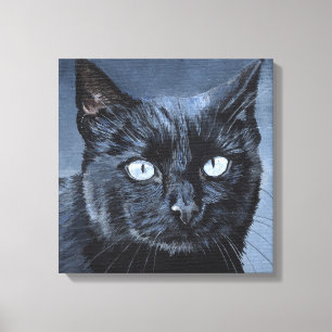 Impressão Em Tela Gato Preto de Olhos Azuis em Azul Escuro