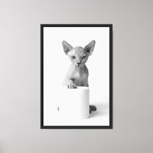 Impressão Em Tela Gato Sphynx Jovial Guarda Papel Higiênico Arte Ele