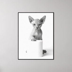 Impressão Em Tela Gato Sphynx Jovial Guardando Papel Higiênico com E