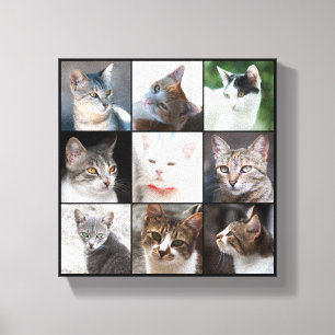 IMPRESSÃO EM TELA GATOS