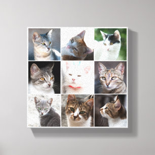 Impressão Em Tela GATOS - modelo