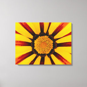 Impressão Em Tela Gazania