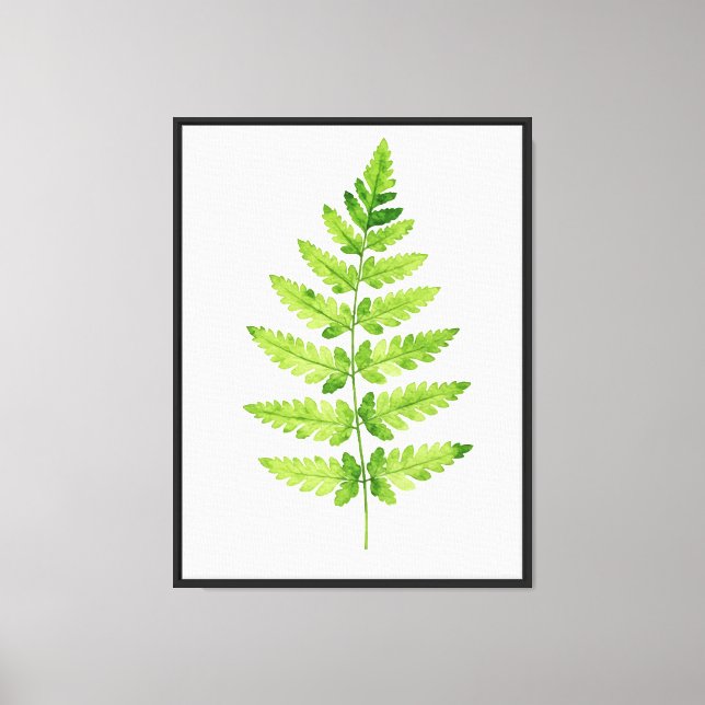 Impressão Em Tela Gênero Dryopteris (Frente)