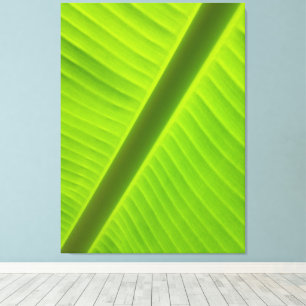 Impressão Em Tela Geometria Natural em Fotografia Verde Iluminada pe
