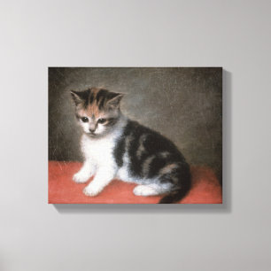 Impressão Em Tela George Stubbs O Kitten de Ann White, 1790