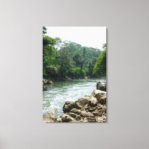 Geoturismo Paisagem Rio Selva Foto Viagem