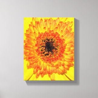 Impressão Em Tela Gerber Daisy