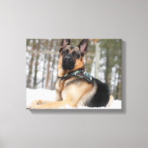 Impressão Em Tela German shepherd Na Neve