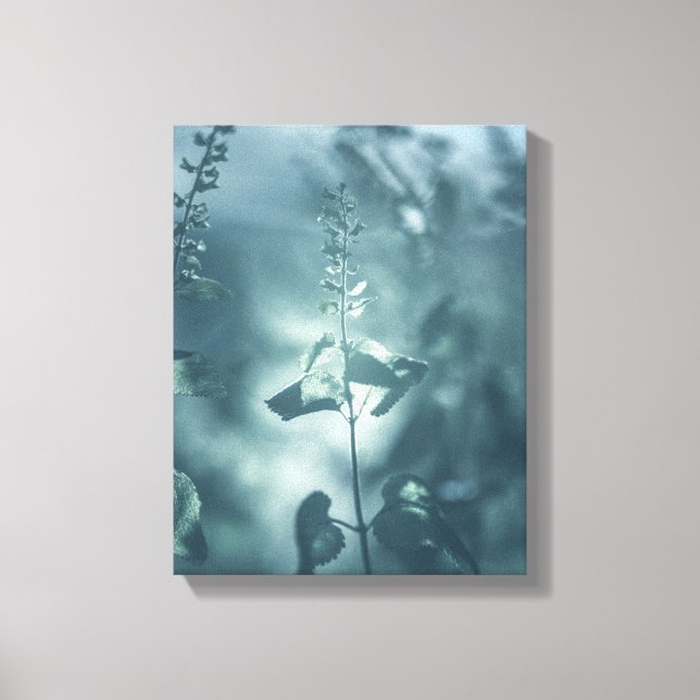 Impressão Em Tela Germander Floral Nature Foto (Frente)